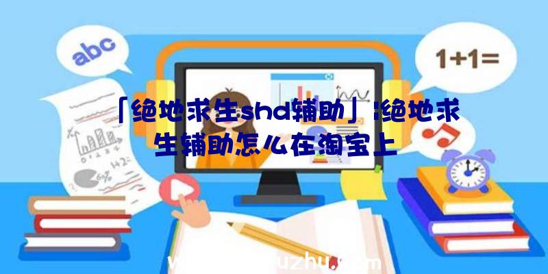 「绝地求生shd辅助」|绝地求生辅助怎么在淘宝上